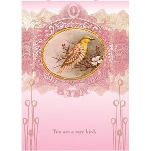 “You are a rare bird.” Wall art 💗